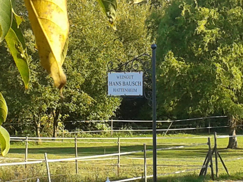 Weingut Hans Bausch Hattenheim Exterior photo